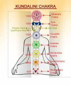 Kundalini Chakras