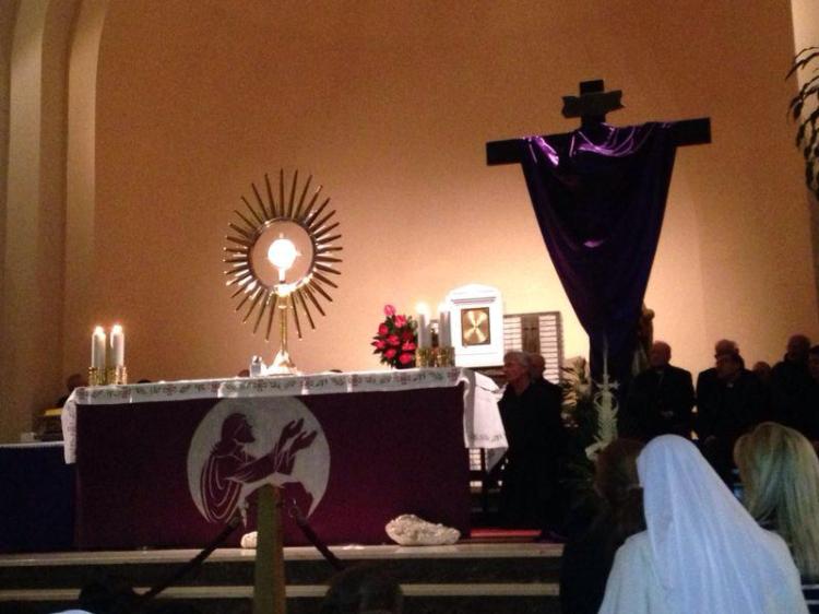 Adoración al Santísimo en Medjugorje el sábado 12 de abril de 2014  (3)