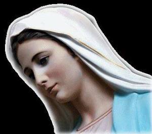 1897901_1000821319942213_5006716263542234288_n