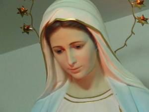 12108794_876902325711992_8837329738150649459_n